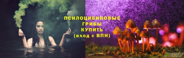 PSILOCYBIN Верхнеуральск