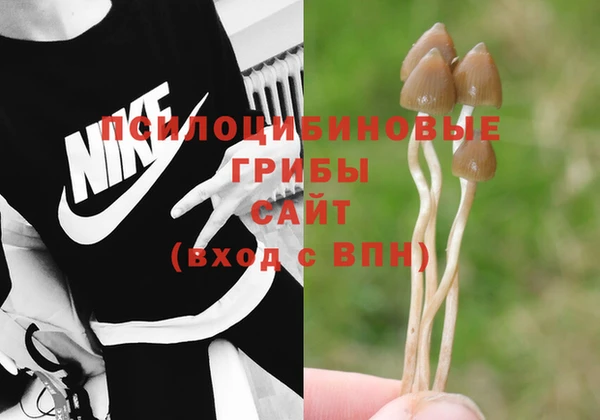 PSILOCYBIN Верхнеуральск