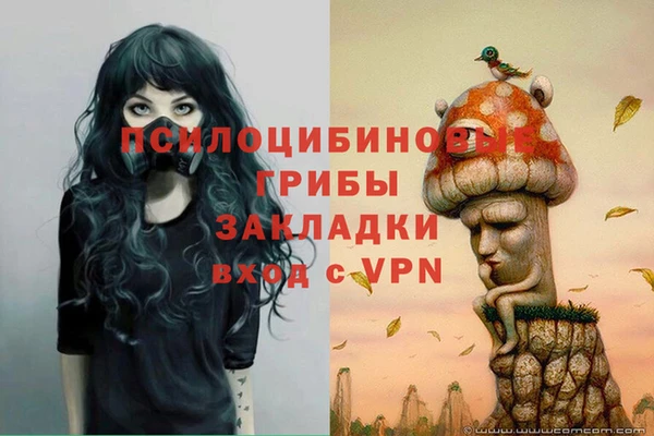 PSILOCYBIN Верхнеуральск