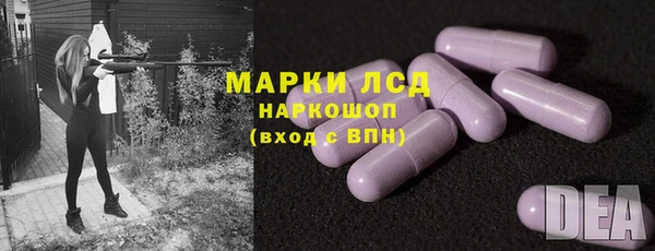ПСИЛОЦИБИНОВЫЕ ГРИБЫ Ветлуга