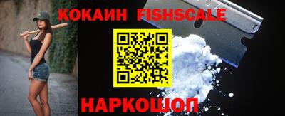 шишки Аргун