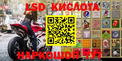 шишки Аргун