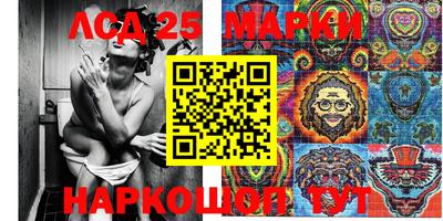 шишки Аргун