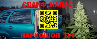 бошки Будённовск