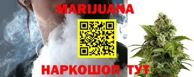 шишки Аргун