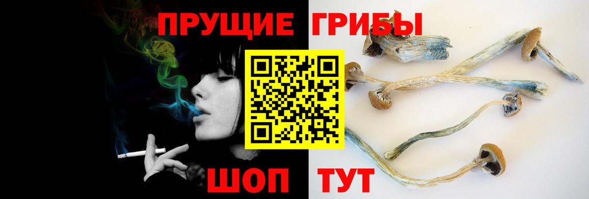 Семилуки  Псилоцибиновые грибы Magic Shrooms  Галлюциногенные грибы GOLDEN TEACHER  Вход с VPN 